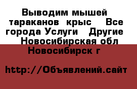 Выводим мышей ,тараканов, крыс. - Все города Услуги » Другие   . Новосибирская обл.,Новосибирск г.